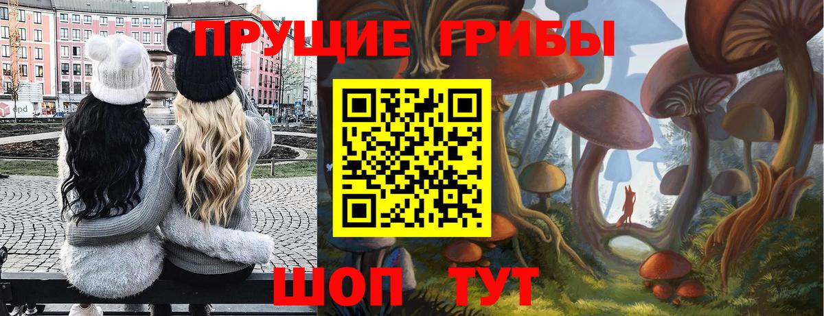 Галлюциногенные грибы GOLDEN TEACHER Дзержинск